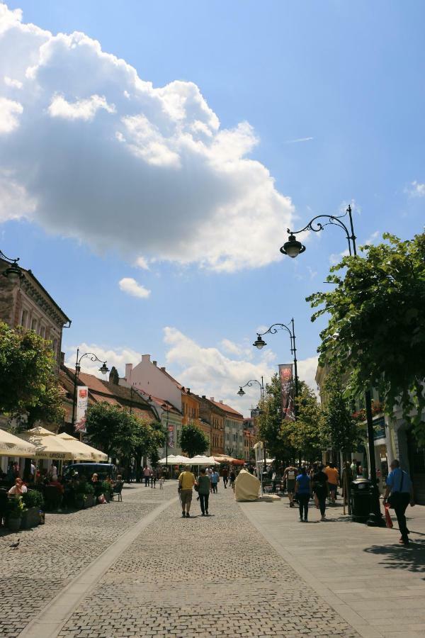 Corso Comfort Apartment